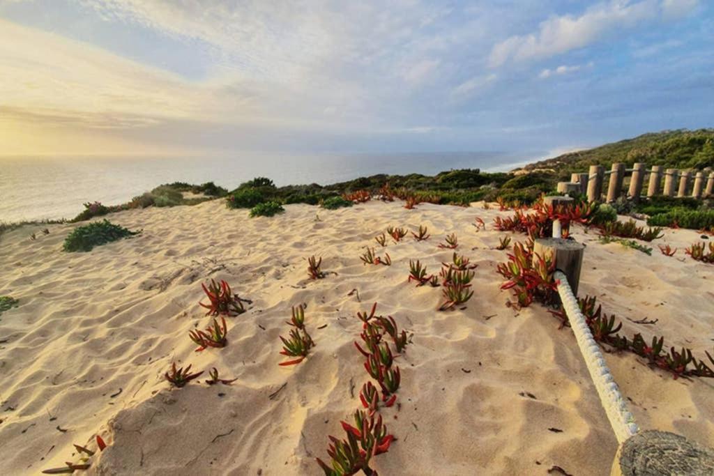 Secluded Beach House @Praia Da Gale ميليد المظهر الخارجي الصورة