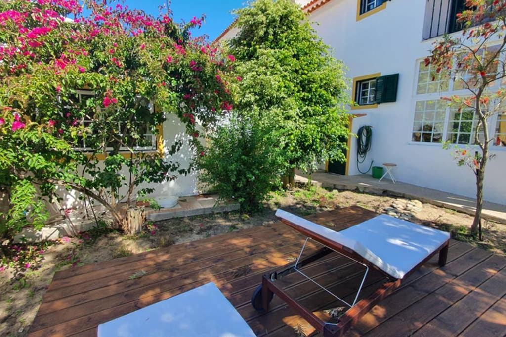 Secluded Beach House @Praia Da Gale ميليد المظهر الخارجي الصورة
